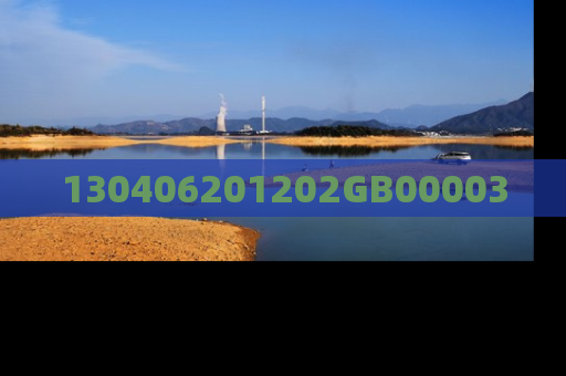 130406201202GB00003