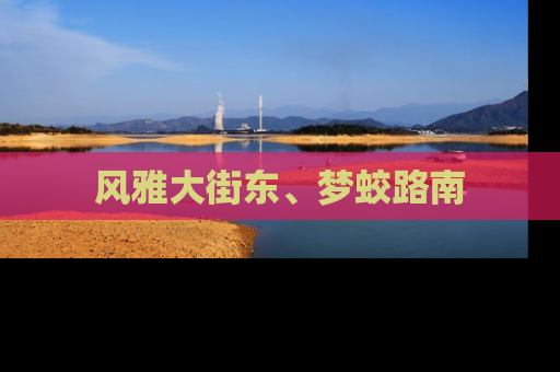风雅大街东、梦蛟路南