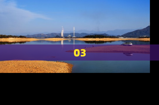 03
