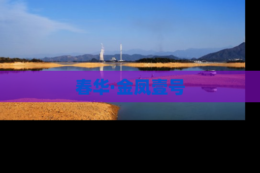 春华·金凤壹号