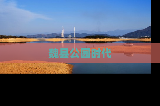 魏县公园时代