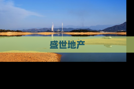 盛世地产