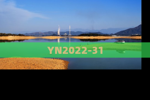YN2022-31