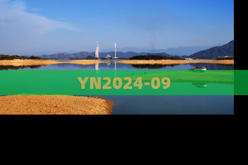 YN2024-09