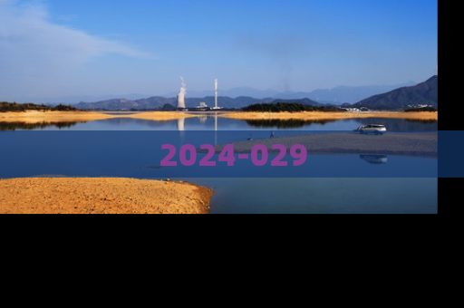 2024-029