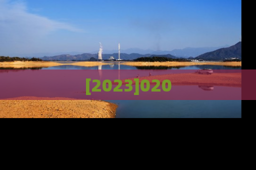 [2023]020
