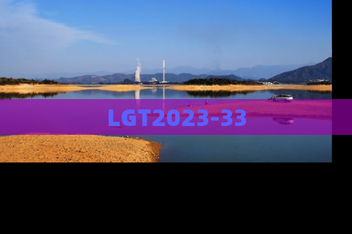 LGT2023-33