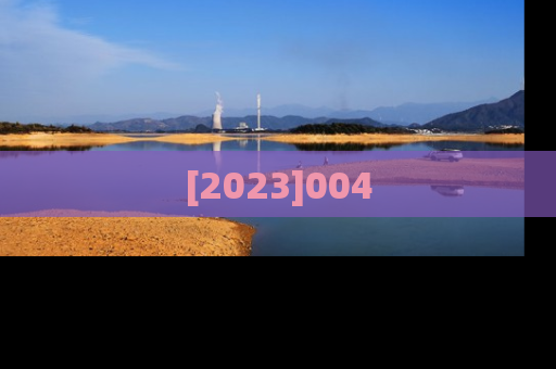 [2023]004