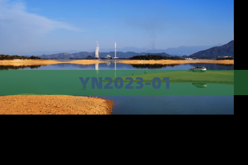 YN2023-01