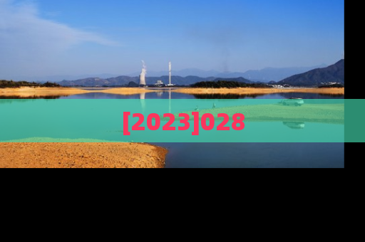 [2023]028
