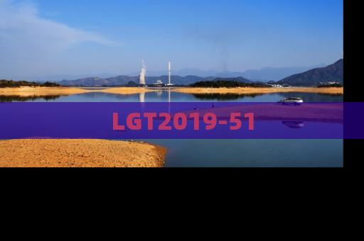 LGT2019-51