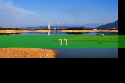 11