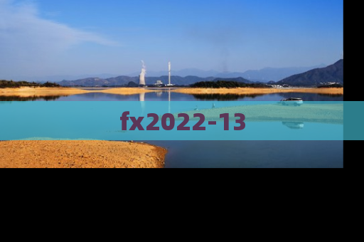 fx2022-13