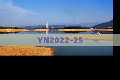 YN2022-25