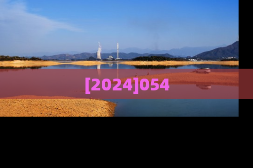 [2024]054