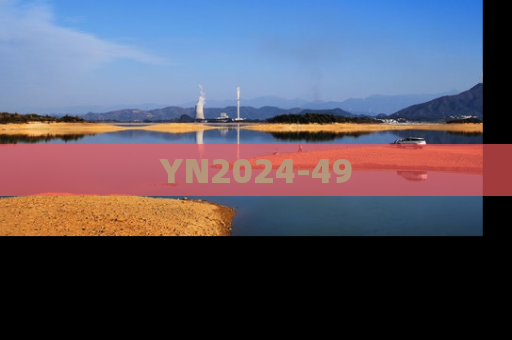 YN2024-49
