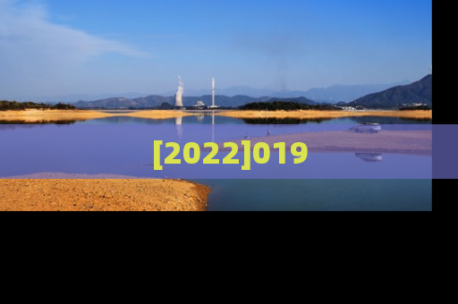 [2022]019