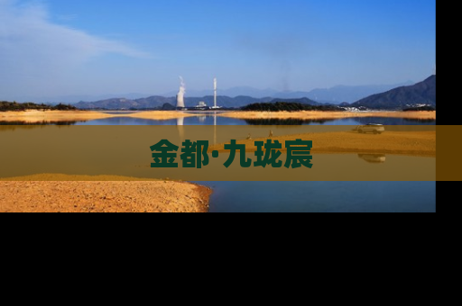 金都·九珑宸
