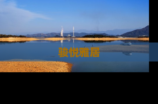 骏悦雅居