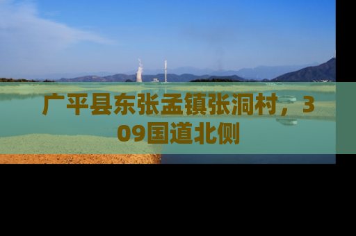 广平县东张孟镇张洞村，309国道北侧