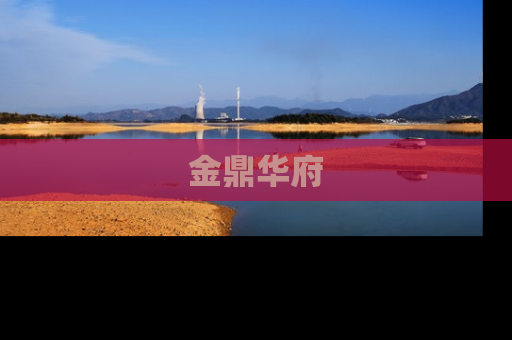 金鼎华府