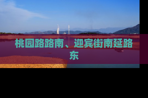 桃园路路南、迎宾街南延路东