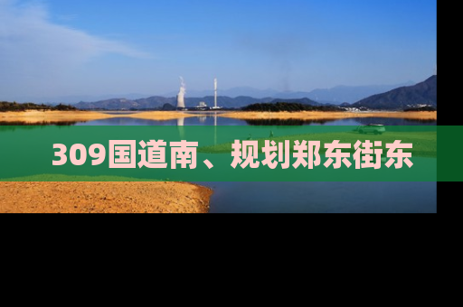 309国道南、规划郑东街东