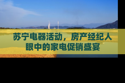 苏宁电器活动，房产经纪人眼中的家电促销盛宴
