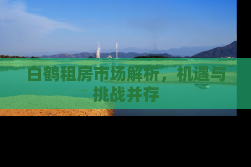 白鹤租房市场解析，机遇与挑战并存