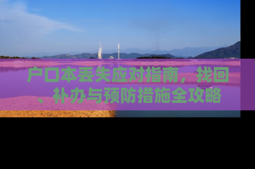 户口本丢失应对指南，找回、补办与预防措施全攻略