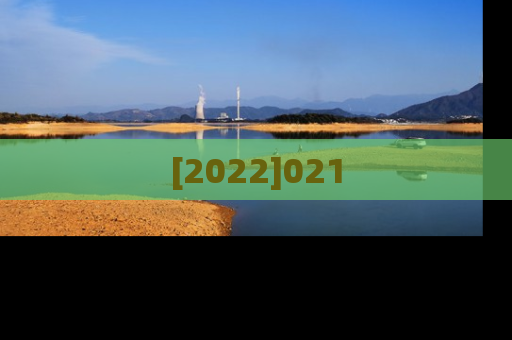 [2022]021