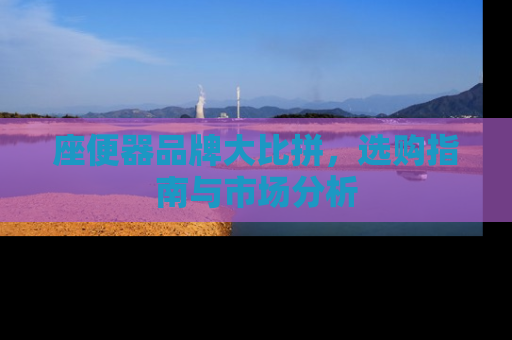座便器品牌大比拼，选购指南与市场分析