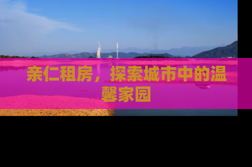 亲仁租房，探索城市中的温馨家园