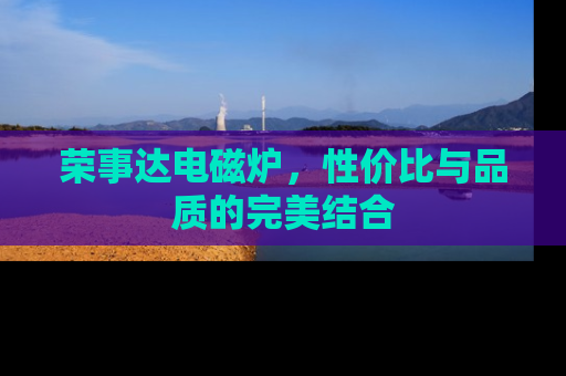 荣事达电磁炉，性价比与品质的完美结合