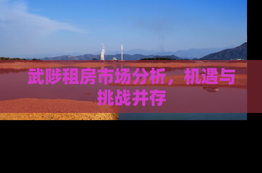 武陟租房市场分析，机遇与挑战并存