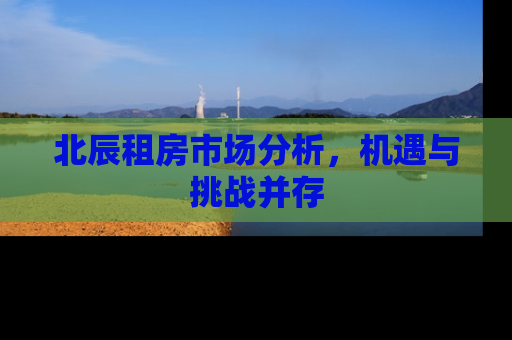 北辰租房市场分析，机遇与挑战并存