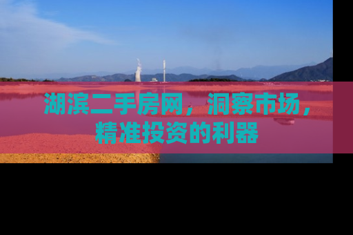 湖滨二手房网，洞察市场，精准投资的利器