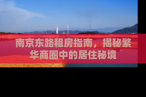 南京东路租房指南，揭秘繁华商圈中的居住秘境