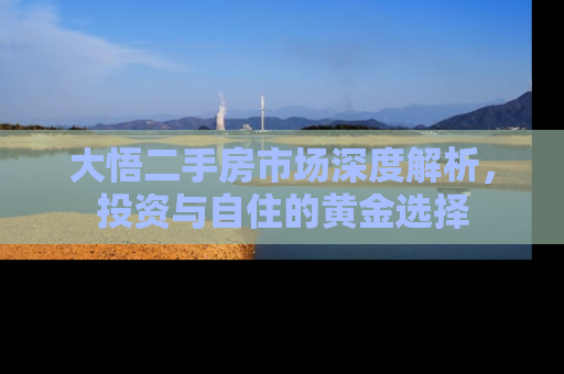 大悟二手房市场深度解析，投资与自住的黄金选择