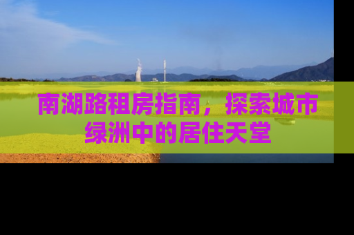 南湖路租房指南，探索城市绿洲中的居住天堂