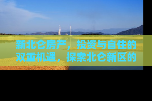 新北仑房产，投资与自住的双重机遇，探索北仑新区的房产潜力