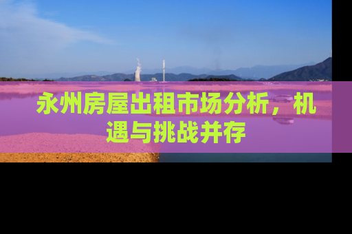 永州房屋出租市场分析，机遇与挑战并存