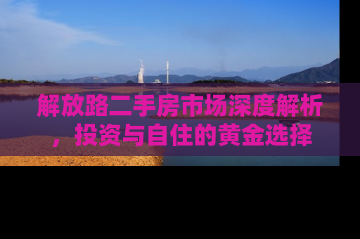 解放路二手房市场深度解析，投资与自住的黄金选择