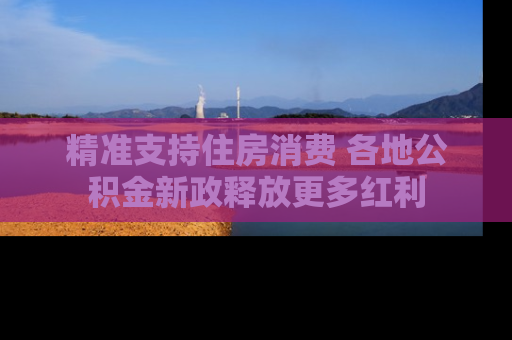 精准支持住房消费 各地公积金新政释放更多红利