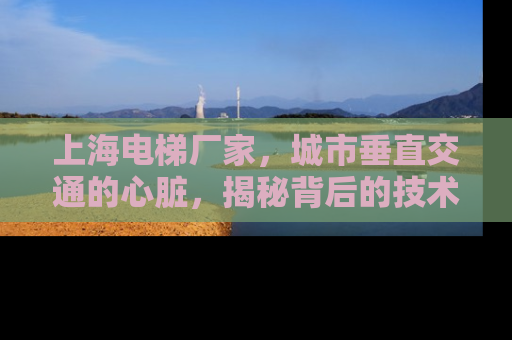 上海电梯厂家，城市垂直交通的心脏，揭秘背后的技术与服务