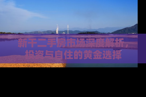 新干二手房市场深度解析，投资与自住的黄金选择