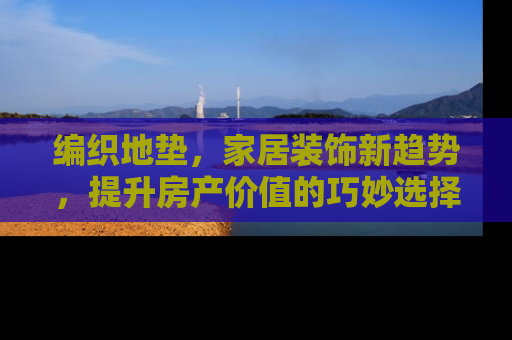 编织地垫，家居装饰新趋势，提升房产价值的巧妙选择