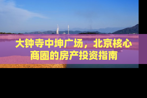 大钟寺中坤广场，北京核心商圈的房产投资指南