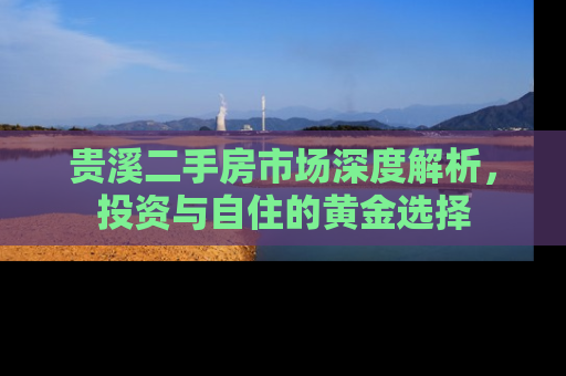 贵溪二手房市场深度解析，投资与自住的黄金选择