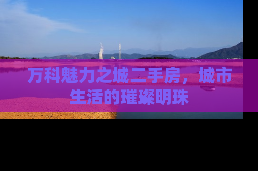 万科魅力之城二手房，城市生活的璀璨明珠